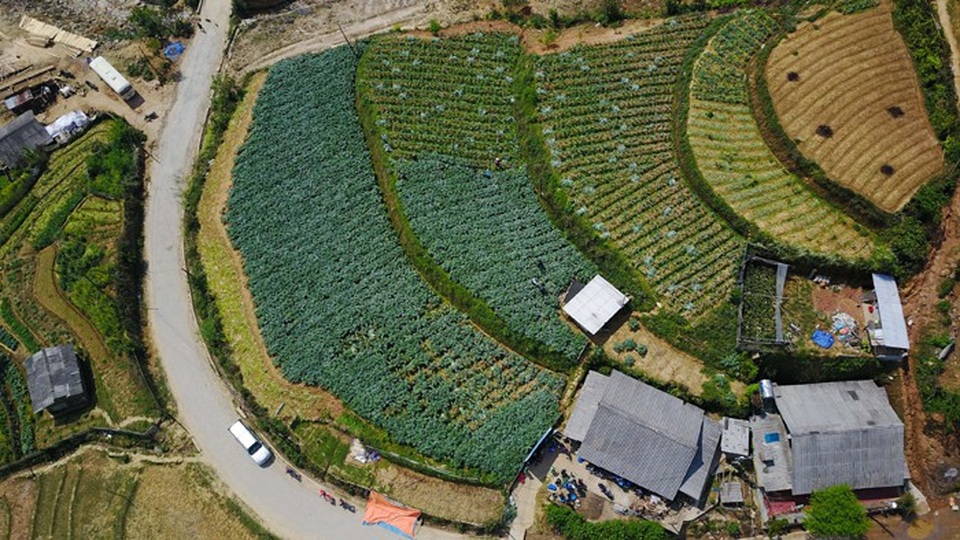 Traphaco gieo mầm xanh, gặt hạnh phúc - 2