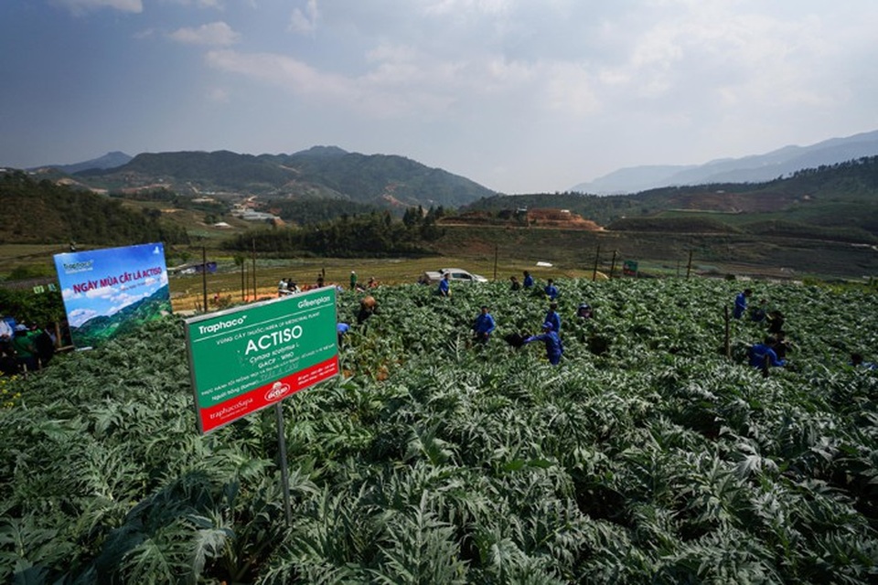 Traphaco gieo mầm xanh, gặt hạnh phúc - 3