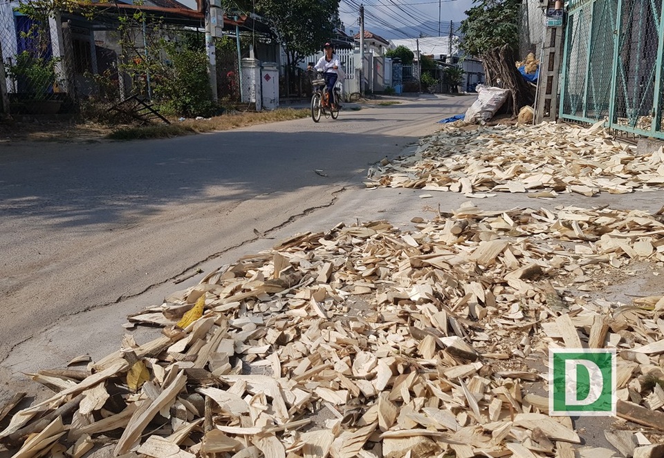 Kỳ lạ nghề moi ruột cây tìm “vàng” ở xứ trầm hương - 10 Vỏ cây dó bầu cũng được người dân phơi khô, có thể xay thành bột làm nhang đốt