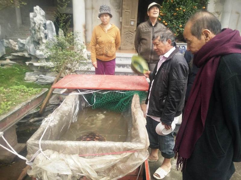 Nhà chùa giải cứu "cụ" rùa 6kg suýt bị xẻ thịt - 2 Người dân đến xem cá thể rùa được giải cứu