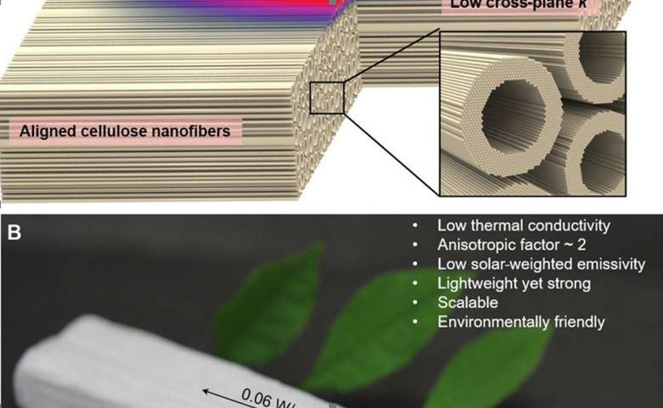 Gỗ nano có thể giảm phát thải cacbon - 1 Gỗ nano có thể giảm phát thải cacbon - 1
