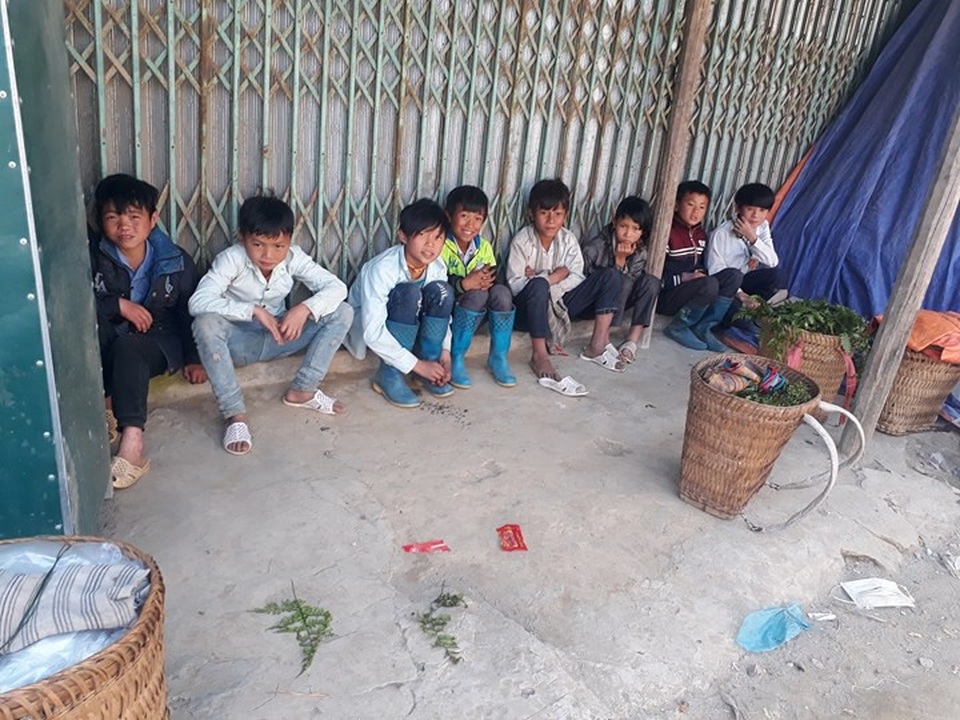 Đồn là "rau trường sinh", thương lái Trung Quốc đổ xô mua rau dớn - 3
Vào những ngày nghỉ, nhiều trẻ em học sinh vùng cao lên rừng hái rau dớn cùng bố mẹ để kiếm thêm thu nhập cho gia đình.