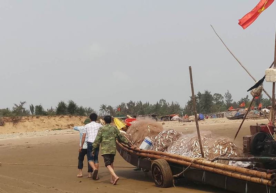 Ngư dân Thanh Hóa kiếm tiền triệu nhờ "lộc biển" - 3 Những ngày qua, cứ vào mỗi buổi sáng sớm, những chiếc bè mảng của bà con ngư dân ven biển huyện Hoằng Hóa đã hồ hởi ra khơi. Đến khoảng 8h, dọc vùng biển xã Hoằng Thanh, Hoằng Trường...lại rộn ràng, tấp nập bởi những chiếc bè mảng trở về bờ mang theo đầy cá.