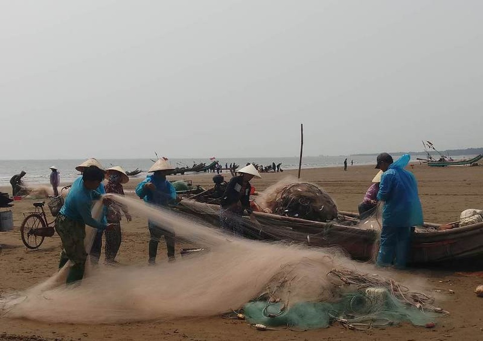 Ngư dân Thanh Hóa kiếm tiền triệu nhờ "lộc biển" - 6 Cá trích là loại hải sản được các cơ sở chế biến thu mua để làm nguyên liệu sản xuất nước mắm, nên cá về đến đâu, được tư thương chờ để bốc hàng đến đó. Với giá cá từ 15.000 - 18.000 đồng/kg, bình quân mỗi ngày sau khi trừ các khoản chi phí, ngư dân vùng biển cũng cho thu nhập từ 2-3 triệu đồng.