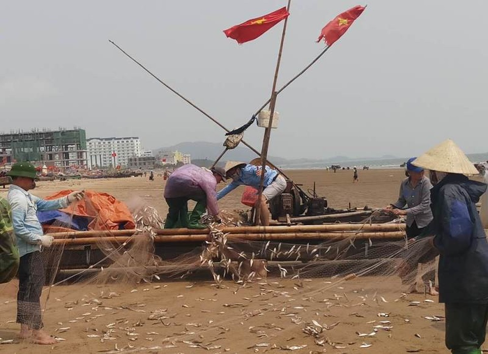 Ngư dân Thanh Hóa kiếm tiền triệu nhờ "lộc biển" - 5 Không khí gỡ lưới và cảnh mua bán trên bãi biển mỗi buổi sáng sớm của bà con ngư dân địa phương thực sự như ngày hội.