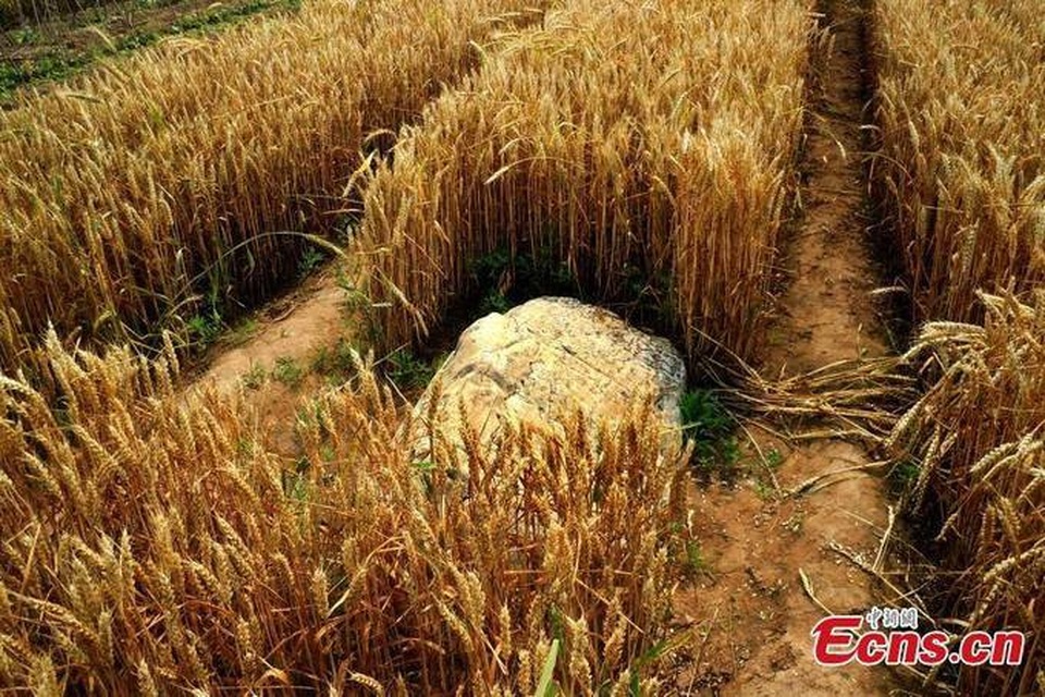 Ngọn núi nhỏ nhất thế giới, đi một bước lên ngay... tới đỉnh - 5 Dù không quá đặc biệt, nhưng nó vẫn mang lại nguồn thu du lịch cho người dân địa phương