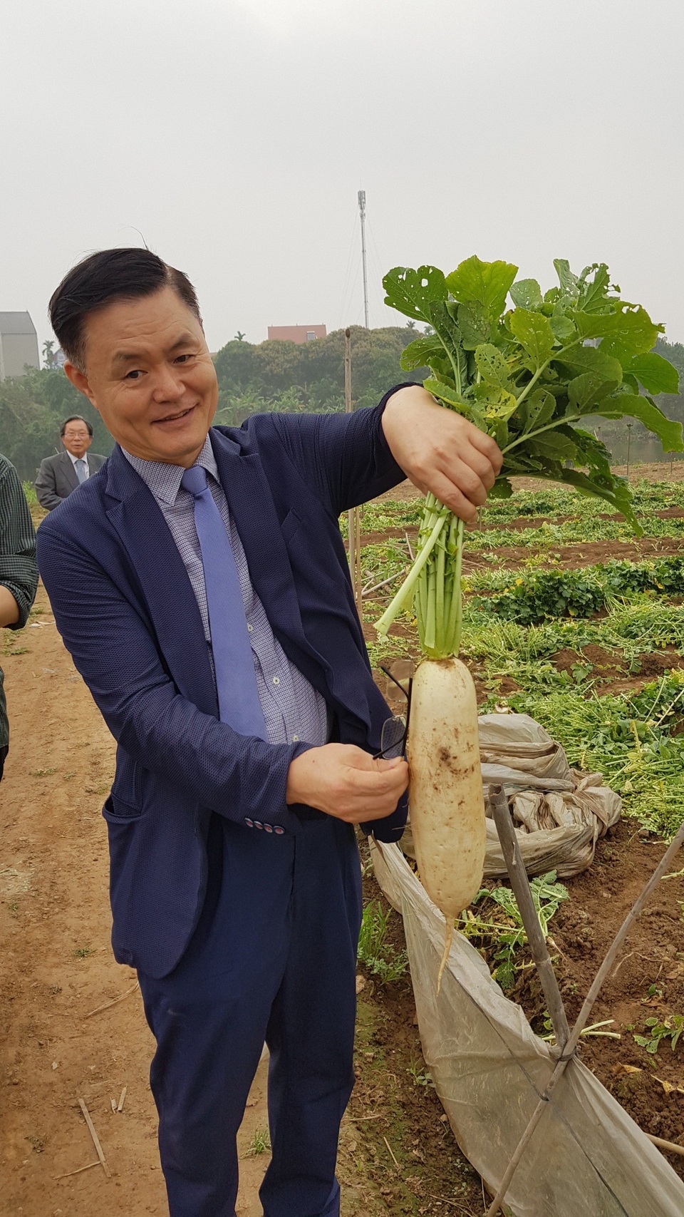 Cú bắt tay giữa hai doanh nghiệp Việt – Nam biến củ cải ế thừa thành mũi nhọn xuất khẩu - 1 Cú bắt tay giữa hai doanh nghiệp Việt – Nam biến củ cải ế thừa thành mũi nhọn xuất khẩu - 1