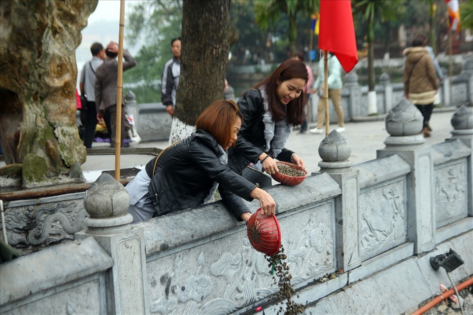 Đồ phóng sinh "bủa vây" cửa chùa ngày Rằm tháng Giêng - 3
Người dân phóng sinh ốc, cá ở chùa Trấn Quốc.