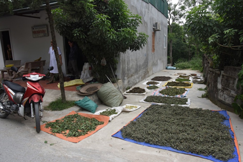 Đóng cửa phòng khám đông y, quầy thuốc không phép - 4 Thuốc Nam được phơi không đảm bảo vệ sinh.