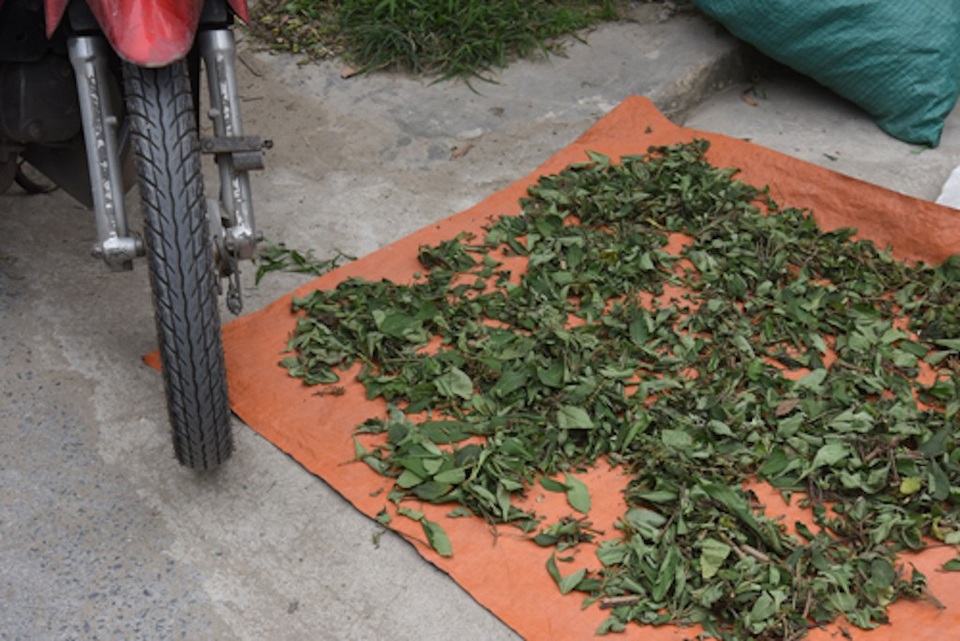 Đóng cửa phòng khám đông y, quầy thuốc không phép - 3 Đóng cửa phòng khám đông y, quầy thuốc không phép - 3
