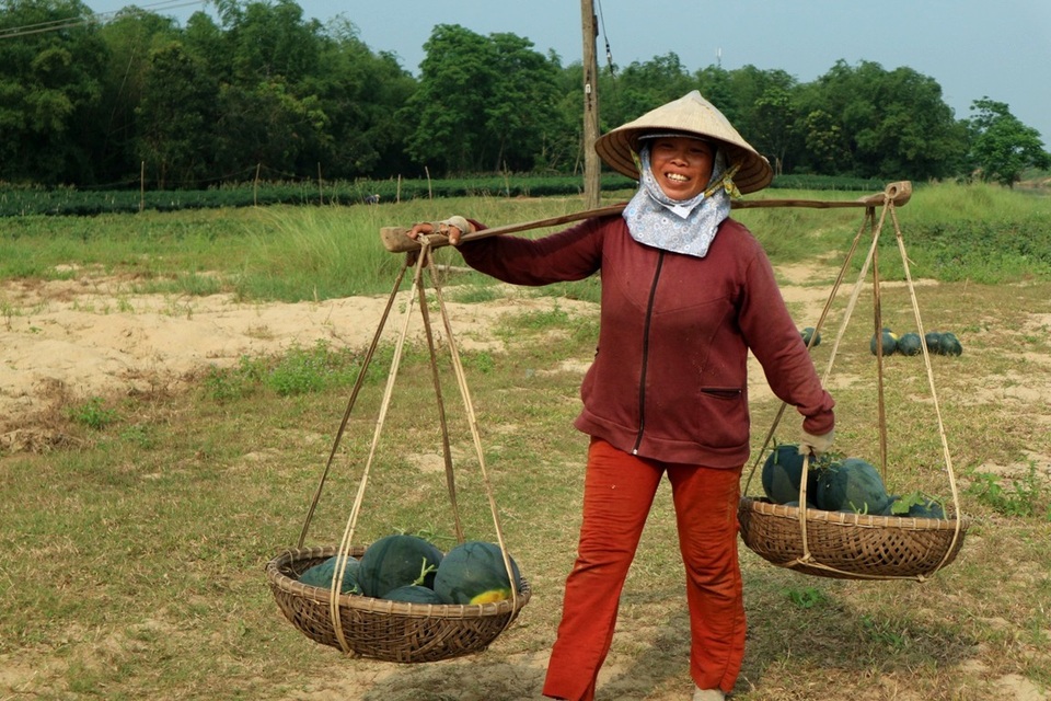 Thị trường Trung Quốc “ăn hàng” dưa hấu, nông dân phấn khởi thu lãi - 3 Hào hứng gánh dưa cân cho thương lái