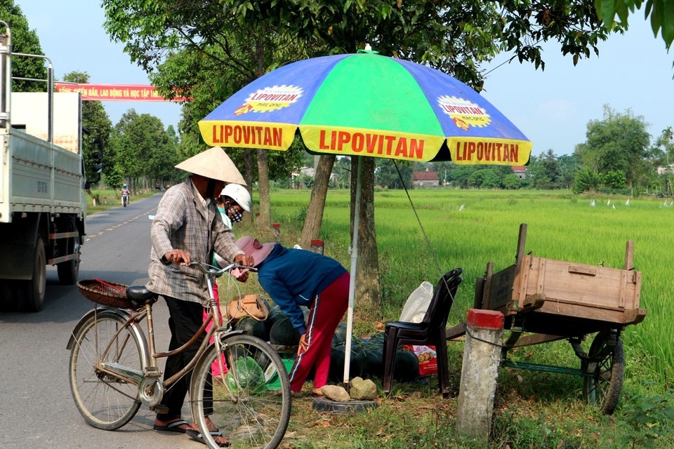 Thị trường Trung Quốc “ăn hàng” dưa hấu, nông dân phấn khởi thu lãi - 6
Nhiều hộ trồng dưa nhiều thì để dành ra đường lộ ngồi bán cho khách du lịch với giá 7.000-8.000 đồng/kg