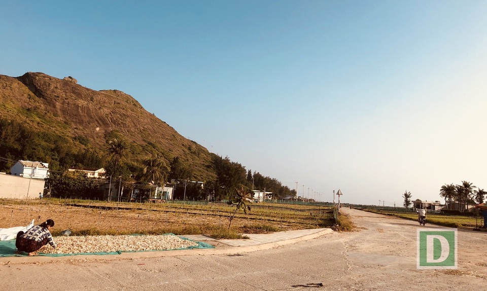 Những cánh đồng tỏi mênh mông hai bên đường dẫn vào các khu dân cư và các điểm di tích nổi tiếng trên bản đồ du lịch Lý Sơn như núi Thới Lới, Hang Câu