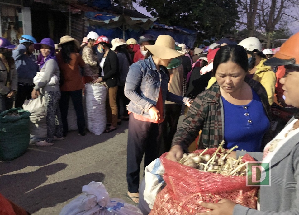 Phiên chợ tỏi đặc biệt từ khoảng 4 - 7h sáng hàng ngày trên đảo Lý Sơn có thể xem như một phiên chợ đầu mối của xứ “vàng trắng”. Để giữ tiếng cho thương hiệu tỏi Lý Sơn, những năm gần đây, lực lượng chức năng đã phải vào cuộc gắt gao để giảm thiểu tình trạng tỏi từ đất liền được đưa ra đảo, mạo danh đặc sản của xứ “vàng trắng”. Lãnh đạo huyện cho biết, từ đầu năm 2018 đến nay, huyện đã phát hiện 4-5 vụ “mạo danh” tỏi Lý Sơn với khoảng 1 tấn tỏi và xử phạt hành chính 1 vụ 20 triệu đồng.