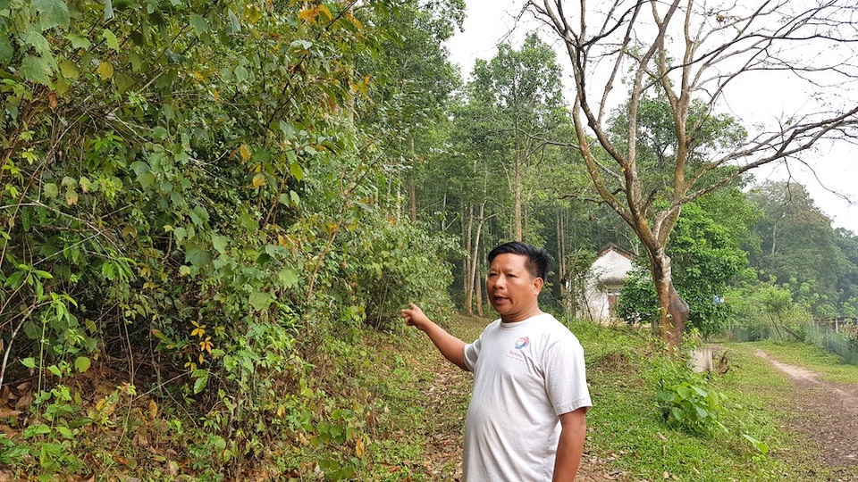 Giả mạo chữ ký chiếm đất rừng người khác! - 6 Ông Hùng cho rằng, mảnh đất trên đồi này của ông đang bị người khác chiếm trái phép.