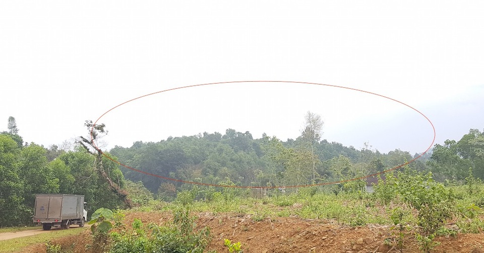 Giả mạo chữ ký chiếm đất rừng người khác! - 13 Khu vực rừng này, ông Hùng cho rằng đang bị gia đình khác chiếm giữ trái phép.