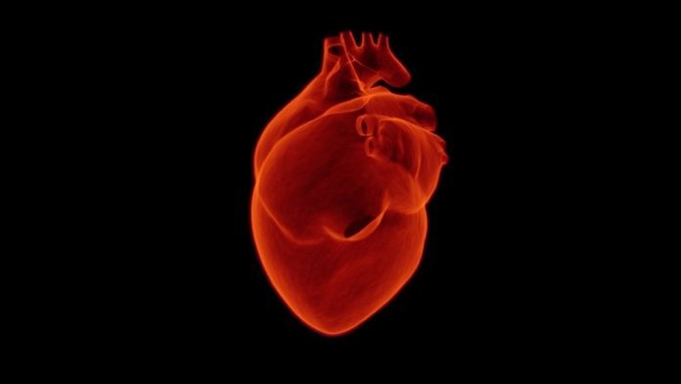Nghiên cứu ngăn ngừa và điều trị hội chứng ngưng tim đột ngột dựa vào giới tính - 1 Nghiên cứu ngăn ngừa và điều trị hội chứng ngưng tim đột ngột dựa vào giới tính - 1