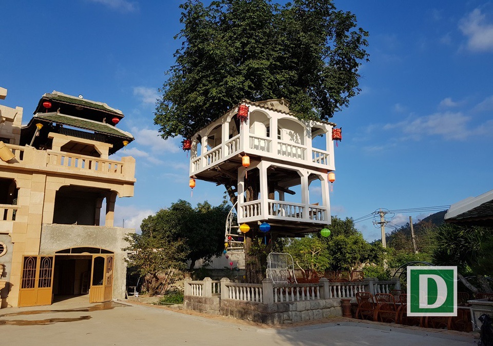 Độc đáo ngôi nhà "ngự" trên cây thị 100 tuổi, "chấp" cả bão cấp 12 - 1 Ngôi nhà kỳ lạ trên cây của ông Nguyễn Văn Phúng tại Nha Trang