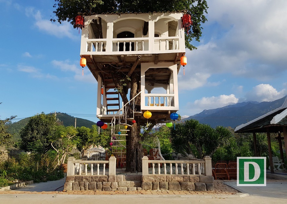 Độc đáo ngôi nhà "ngự" trên cây thị 100 tuổi, "chấp" cả bão cấp 12 - 2 Dù làm trên cây nhưng ngôi nhà được thiết kế rất chắc chắn, khoa học