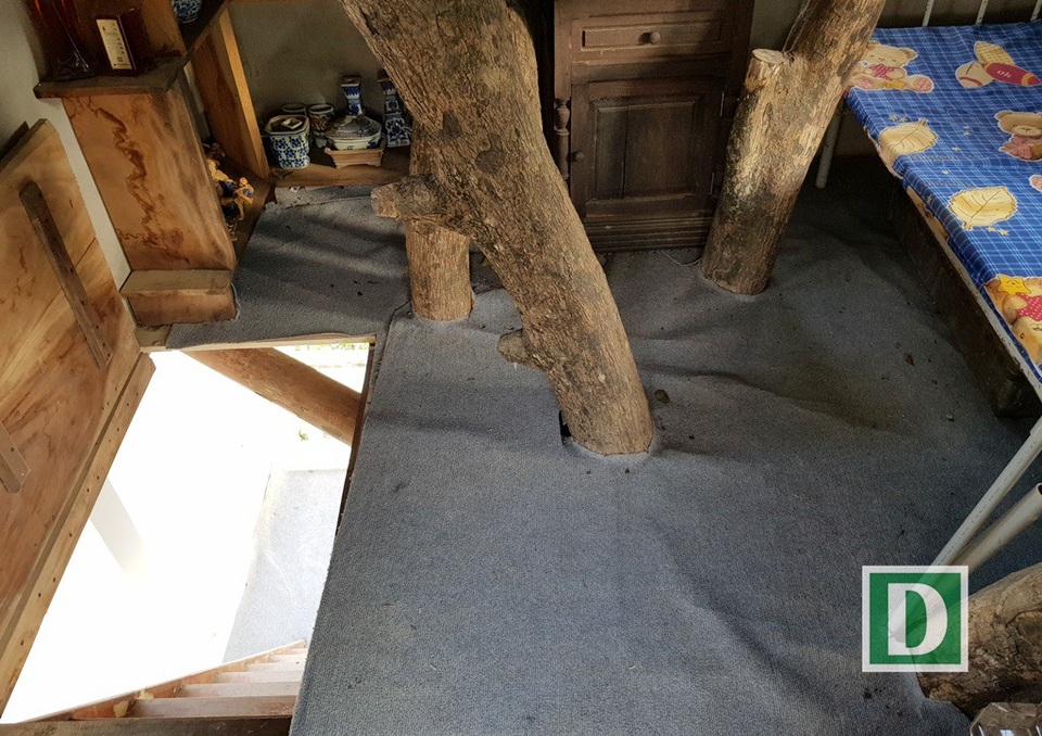 Độc đáo ngôi nhà "ngự" trên cây thị 100 tuổi, "chấp" cả bão cấp 12 - 5 Độc đáo ngôi nhà "ngự" trên cây thị 100 tuổi, "chấp" cả bão cấp 12 - 5