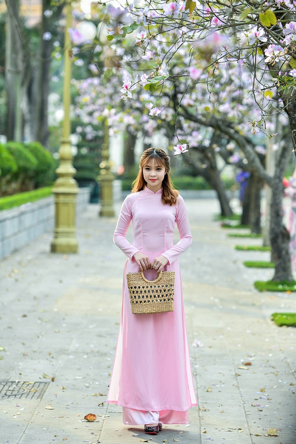 Nữ sinh 9X bên sắc tím hoa ban giữa lòng Thủ đô - 5