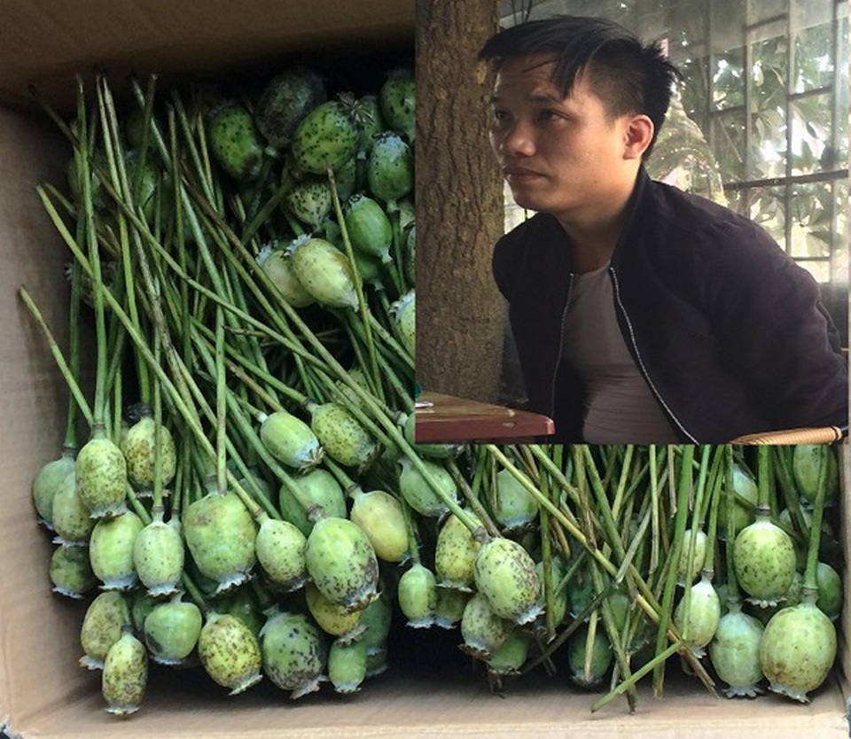 Bắt đối tượng lân la tìm mối bán 7kg quả thuốc phiện tươi - 1 Đối tượng Sơn cùng tang vật (Ảnh Công an Hà Tĩnh).