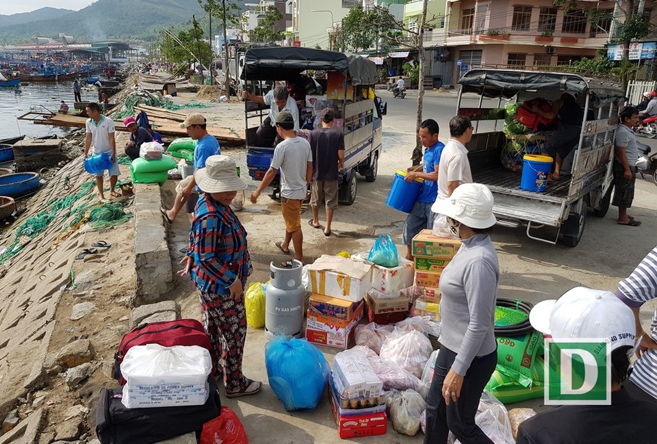 Cá ngừ đại dương đang “rộ”, ngư dân hối hả vươn Trường Sa mở biển - 5 Hối hả…