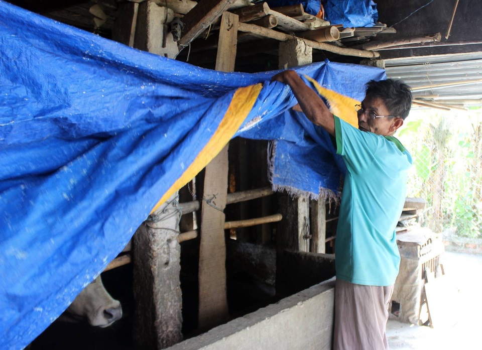 Nhiều hộ dân ở đây dùng bạt nhựa bao quanh chuồng để phòng chống dịch