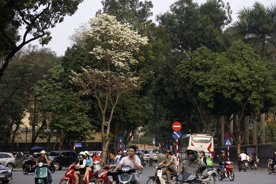 Hà Nội vào mùa "mây xuống phố" - 10 Hà Nội vào mùa "mây xuống phố" - 10