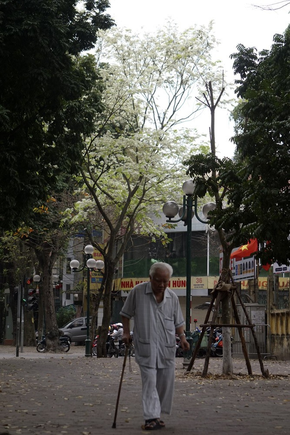 Hà Nội vào mùa "mây xuống phố" - 9 Hà Nội vào mùa "mây xuống phố" - 9