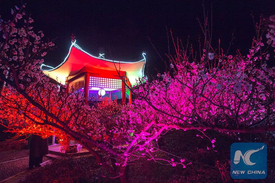 Mãn nhãn mùa hoa xuân tuyệt đẹp ở Trung Quốc - 3