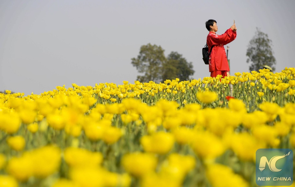 Mãn nhãn mùa hoa xuân tuyệt đẹp ở Trung Quốc - 6