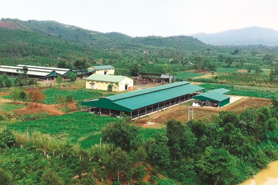 Thực phẩm ngoại đã đến thời “tự cung tự cấp” - 1 Thực phẩm ngoại đã đến thời “tự cung tự cấp” - 1