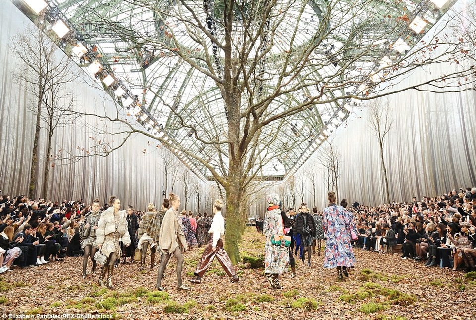 Show diễn thời trang giữa khu rừng - 1
Chanel tái hiện quang cảnh một khu rừng tại Grand Palais, Paris