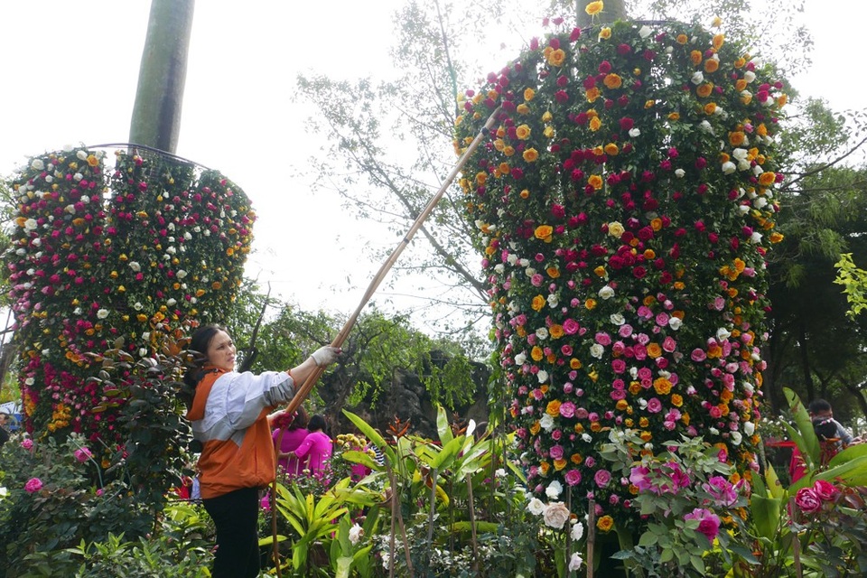 
Để hạn chế hoa héo, thường xuyên có người tưới nước cho hoa.
