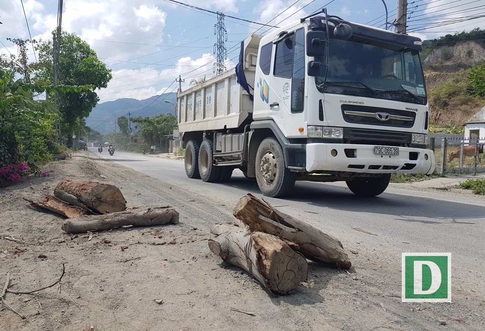Khổ vì đường bụi, người dân chặn xe “yêu cầu tưới nước” - 2 Trên tuyến tỉnh lộ 3 (đoạn qua xã Phước Đồng, TP Nha Trang) có rất nhiều gỗ lớn đặt 2 bên đường trong những ngày qua