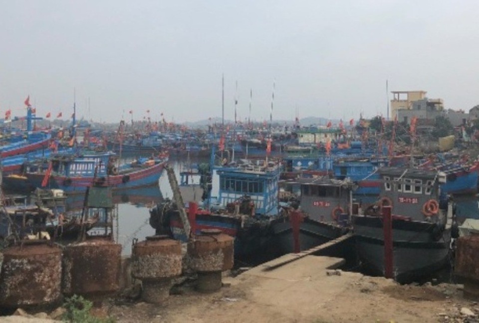 Hàng trăm tàu thuyền “phơi xác” trên bờ biển - 1 Mỗi ngày, Cảng Lạch Bạng, huyện Tĩnh Gia đón hàng trăm lượt phương tiện tàu thuyền đánh bắt cũng như tàu buôn bán, thu mua hải sản và cung ứng dịch vụ hậu cần nghề cá của ngư dân trong và ngoài tỉnh Thanh Hóa ra vào nơi đây