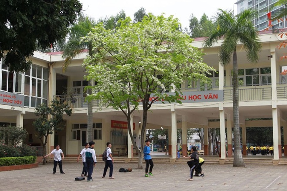 Hà Nội đẹp ngỡ ngàng trong mùa hoa sưa - 5