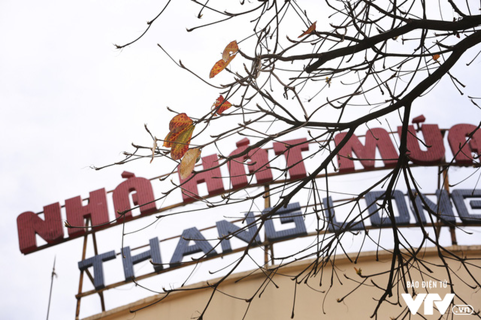 Hà Nội - Có một mùa thay lá cực "tình" - 9