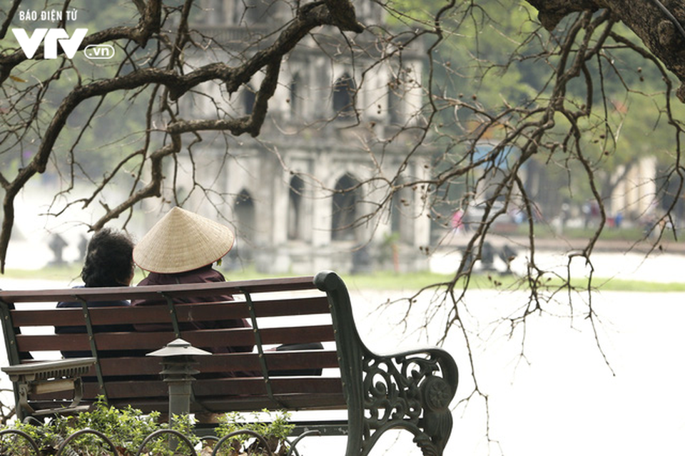 Hà Nội - Có một mùa thay lá cực "tình" - 10