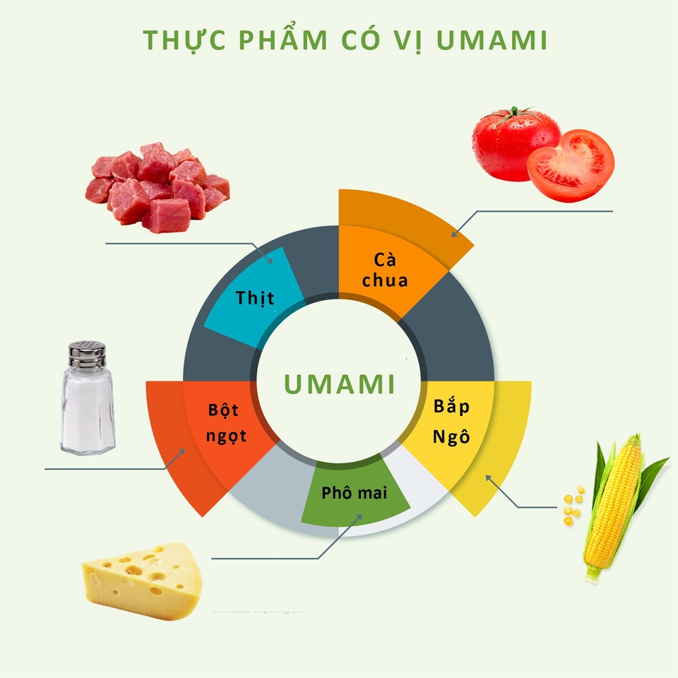 “Umami”- Vị cơ bản thứ năm trong ẩm thực - 2 Cà chua là thực phẩm đặc biệt giàu Glutamate – chất tạo vị Umami