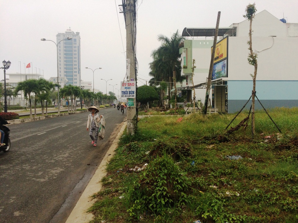 Nhiều đoạn cỏ mọc um tùm...