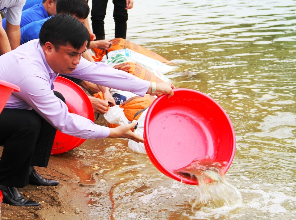 Sinh viên ĐH Vinh thả hơn 1 tạ cá giống xuống sông Lam - 3 Việc thả cá về tự nhiên còn góp phần tái tạo nguồn lợi thủy sản tự nhiên, giúp phát triển các giống loài cá trong tự nhiên”, thầy Nguyễn Đình Vinh chia sẻ về buổi lễ.