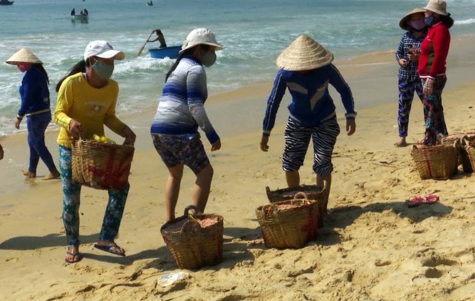 Phú Yên: Kiếm 5 triệu đồng mỗi đêm nhờ trúng đậm ruốc - 3 Mỗi giỏ ruốc nặng từ 15 đến 17 kg