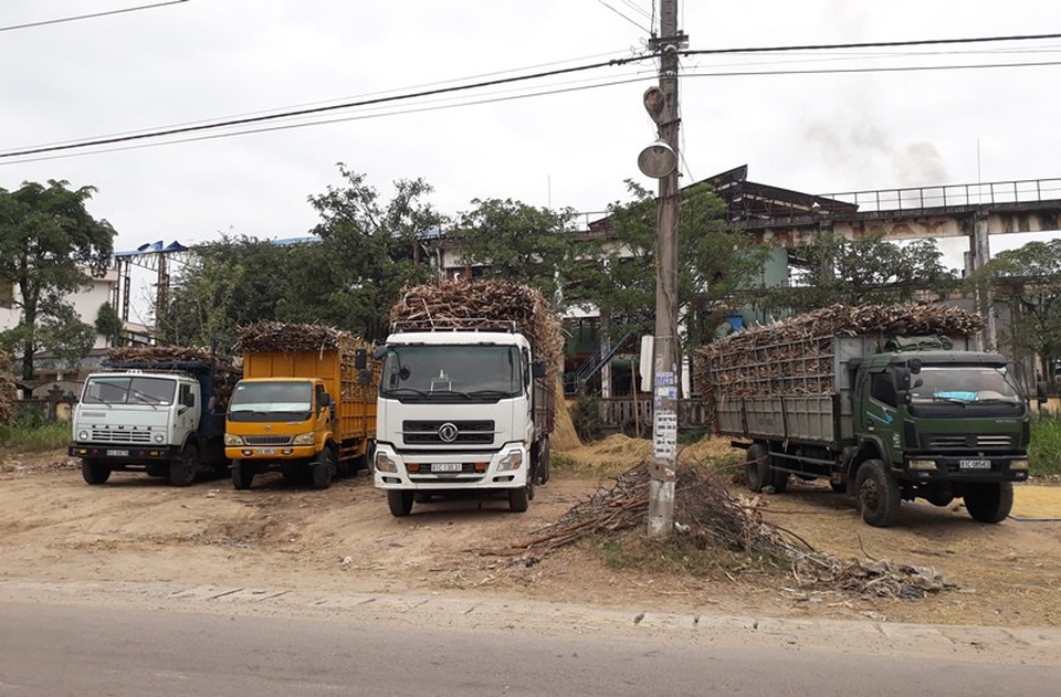 Nhà máy dừng hoạt động khiến các xe tải mía chưa bán được cho nhà máy.