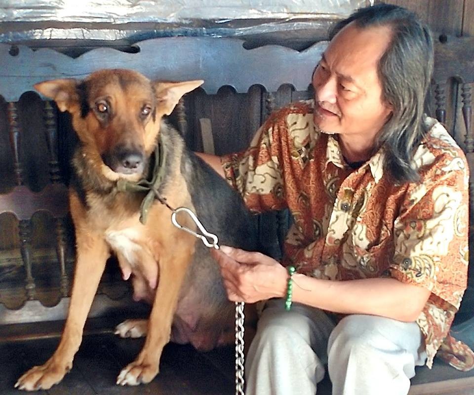 Kỳ diệu chó mẹ tìm về với đàn con khát sữa sau 2 ngày đêm thất lạc - 2 
Niềm hạnh phúc của ông Lý khi chú chó cưng trở về.