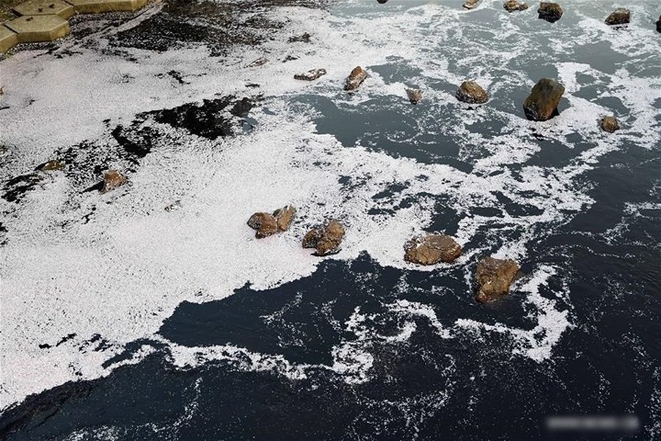 Ngất ngây trước cảnh hoa anh đào nở rộ, cánh hoa phủ sông hồ ở Tokyo - 5 Ngất ngây trước cảnh hoa anh đào nở rộ, cánh hoa phủ sông hồ ở Tokyo - 5