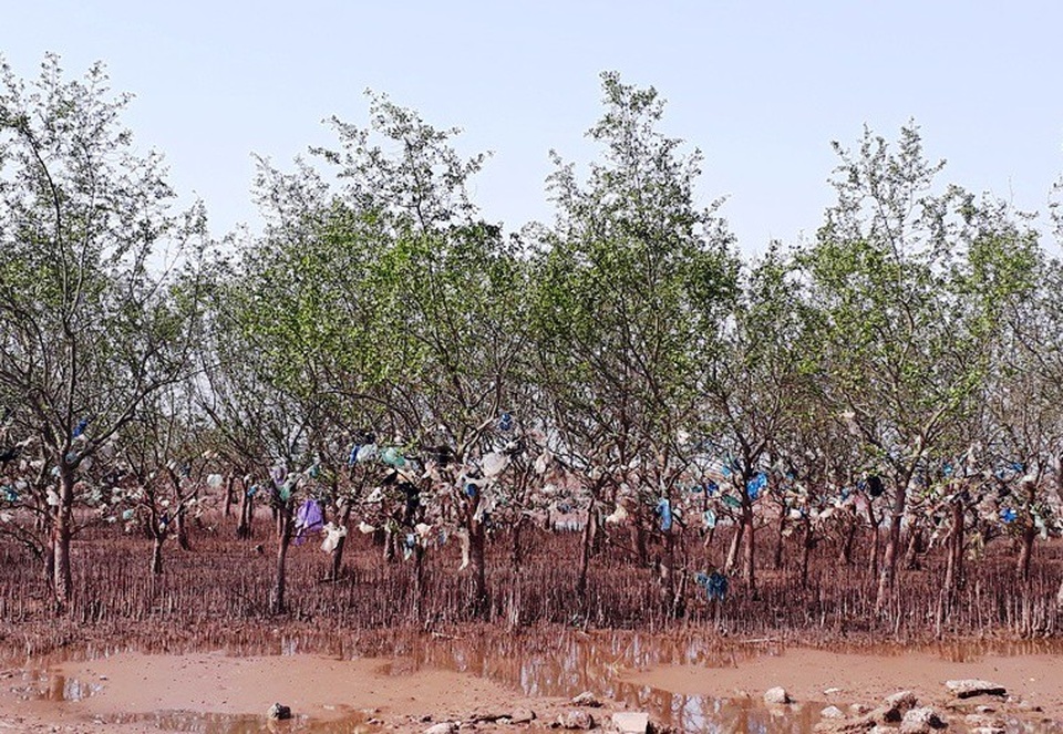 Để làm sạch được rác trên khu vực rừng phòng hộ là cả một vấn đề đối với chính quyền địa phương.