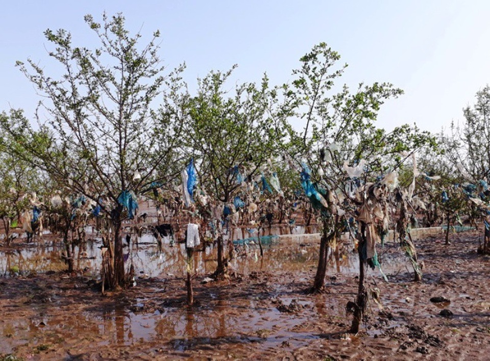 Theo chính quyền xã Đa Lộc, để xử lý được tình trạng nêu trên rất cần sự chung tay của cộng đồng. Ở đây rác không phải ở địa phương mà từ thượng nguồn, các nhánh sông chảy về và từ biển trôi vào.