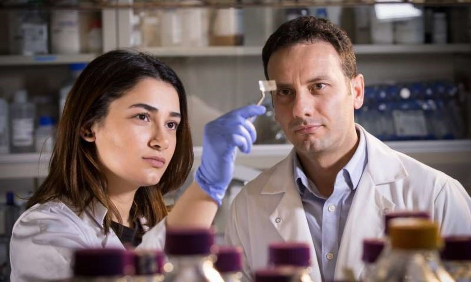 Miếng dán trong suốt có khả năng phát hiện thực phẩm không an toàn - 1
Nhà nghiên cứu Hanie Yousefi và Thid Didar kiểm tra một miếng dán trong suốt, có thể được sử dụng trong bao bì để phát hiện các mầm bệnh trên thực phẩm.